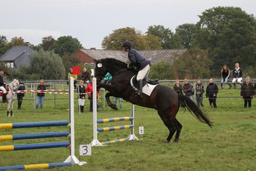 Bild 1458 - WBO-Turnier am 18.9.11